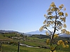sicile 2008 317.jpg